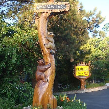 Giant Oaks Lodge Running Springs 외부 사진